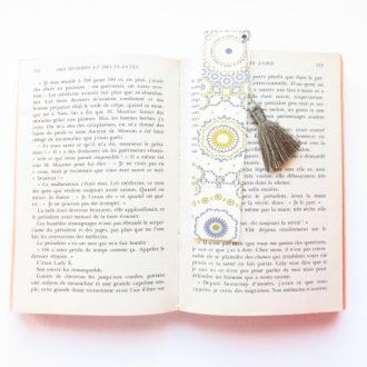 dans livre