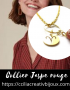 collier astro bélier