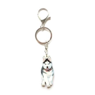 porte-clés husky