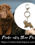 porte-clés shar pei