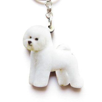 zoom bichon