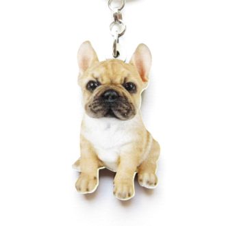 zoom bouledogue