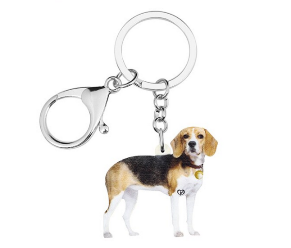 porte-clés Beagle