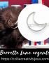 barrette lune argentee